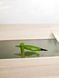 Водостойкий Подводка-Фломастер для Глаз NYF Eyeliner Aloe Vera 95% 030N фото 4